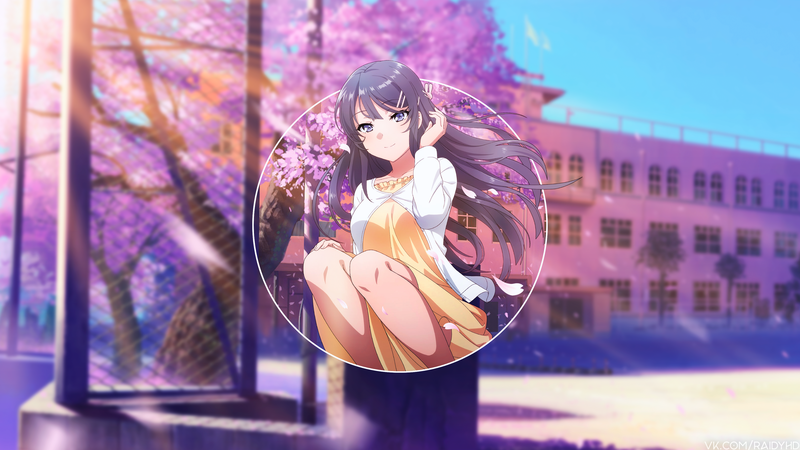 青春猪头少年壁纸来啦！樱岛学姐萌度拉满