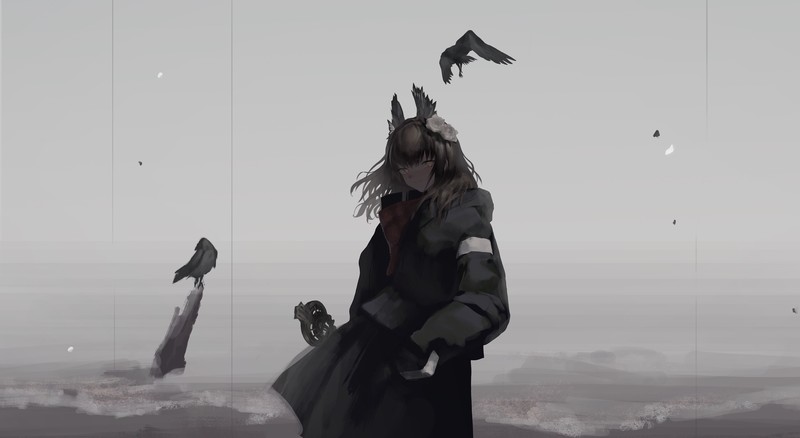 动漫少女与乌鸦主题高清壁纸