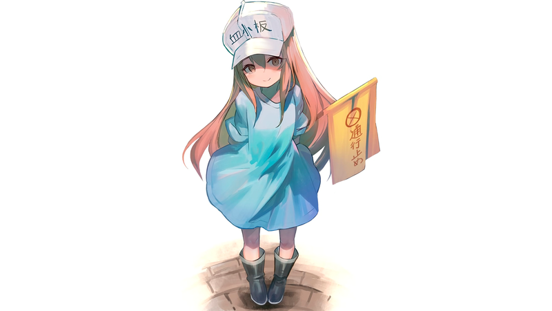 这组壁纸的主角都是《工作细胞》相关的萌系少女