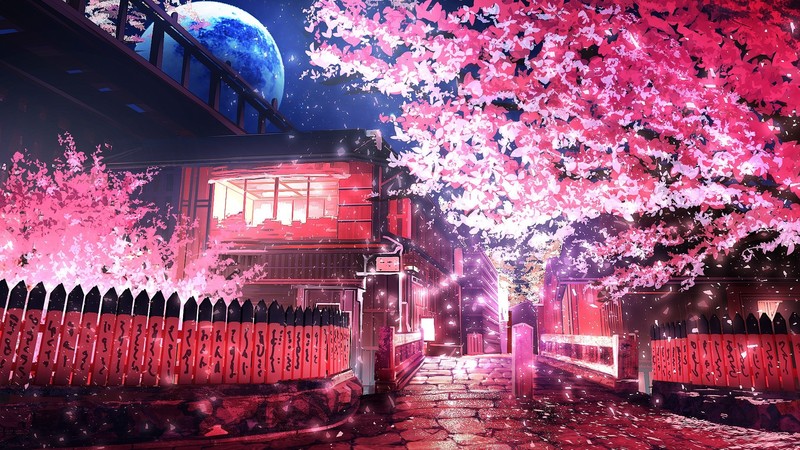 樱花树动漫公路高清壁纸