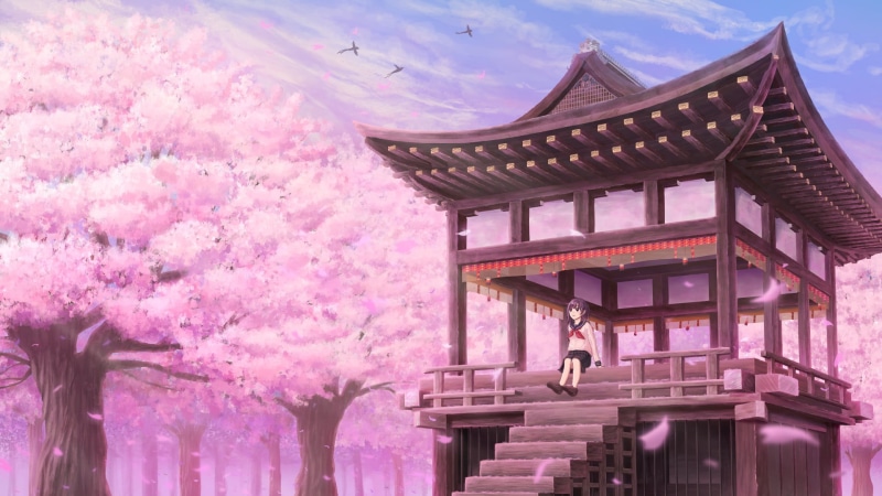 绝美樱花少女动漫壁纸合集