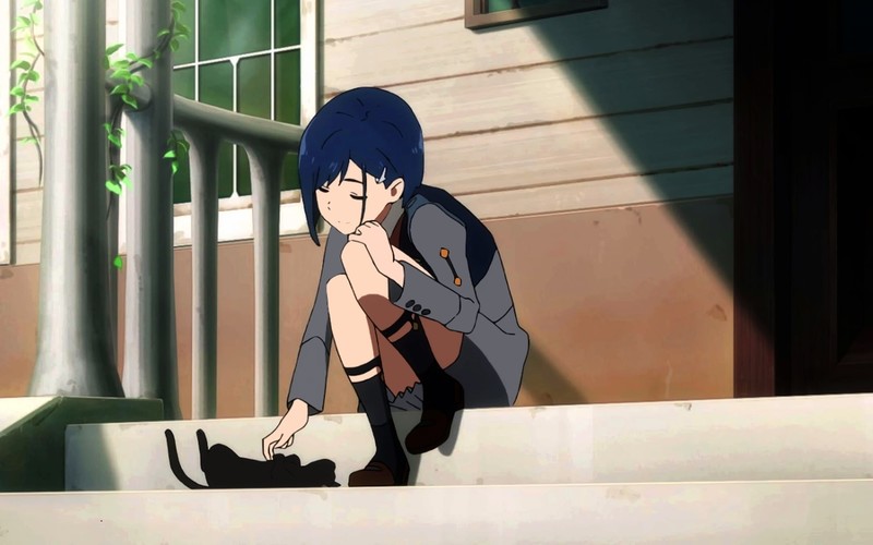 《国家队》莓猫娘高清壁纸合集