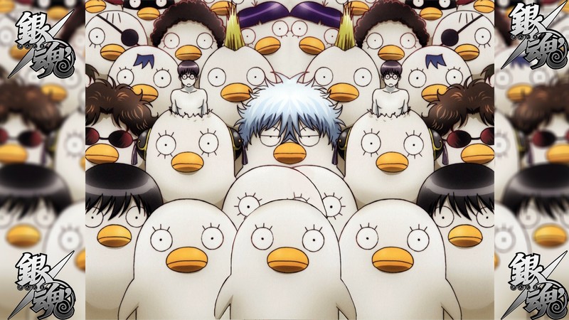 银魂相关动物眼 patch 动漫高清壁纸