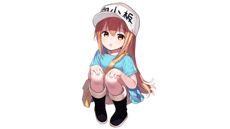 这套二次元壁纸合集 超养眼治愈画风