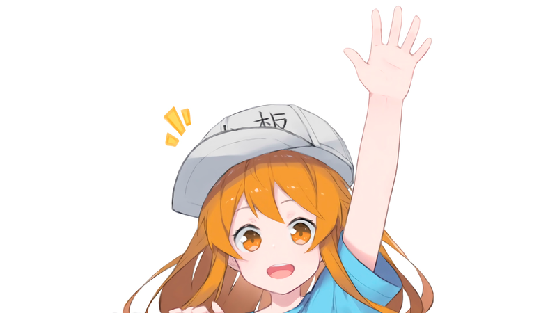 工作细胞萌系少女壁纸合集