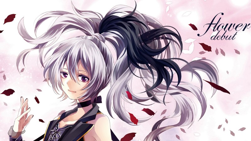 这款动漫少女壁纸合集 超绝氛围感拉满