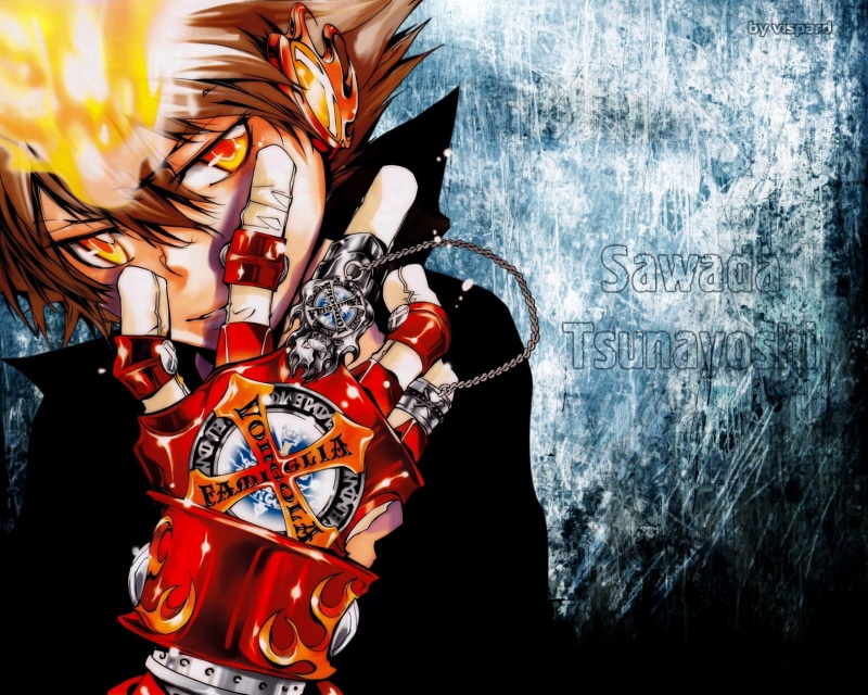 家庭教师HITMAN REBORN! 泽田纲吉等角色高清壁纸合集