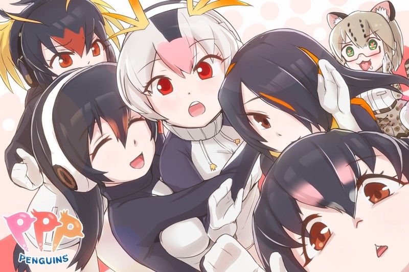 《兽娘动物园》企鹅主题高清壁纸合集