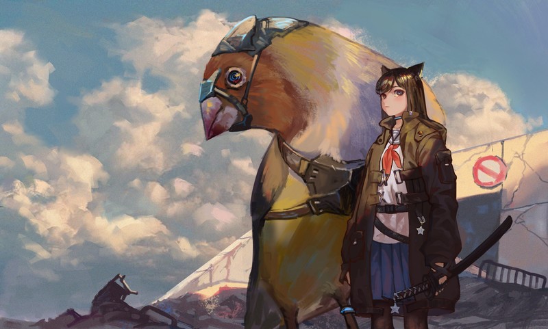 绝美女剑士与飞鸟壁纸合集