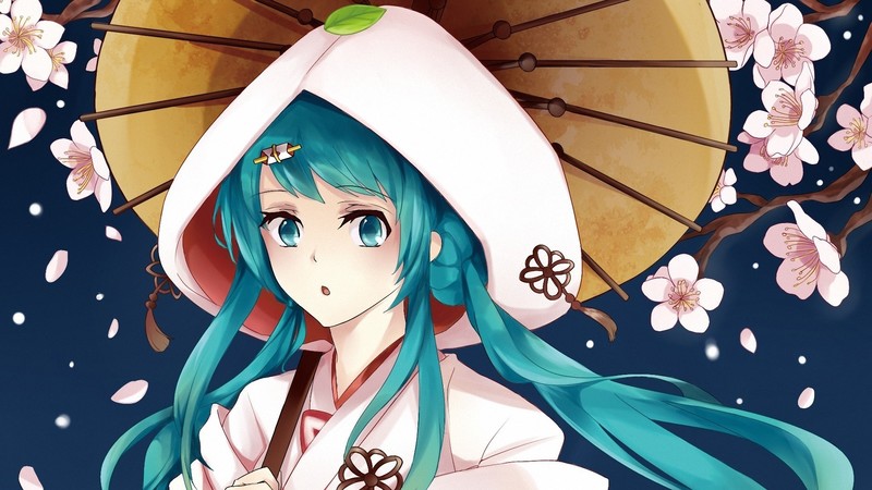 初音未来壁纸合集！二次元少女 Vocaloid 高清壁纸