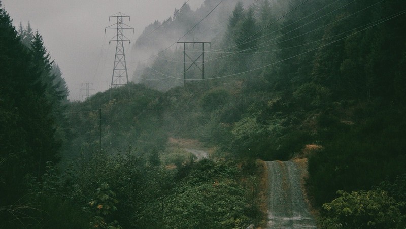 迷雾森林公路壁纸