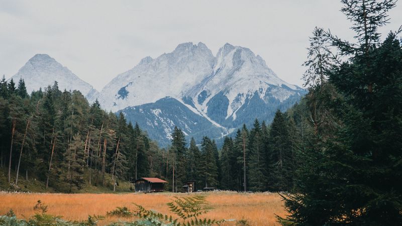 一眼沦陷的冬日山野壁纸