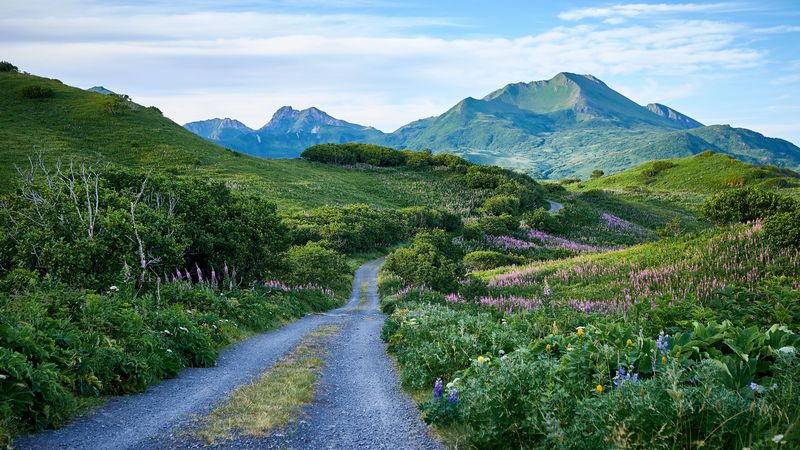 绝美山野公路壁纸！