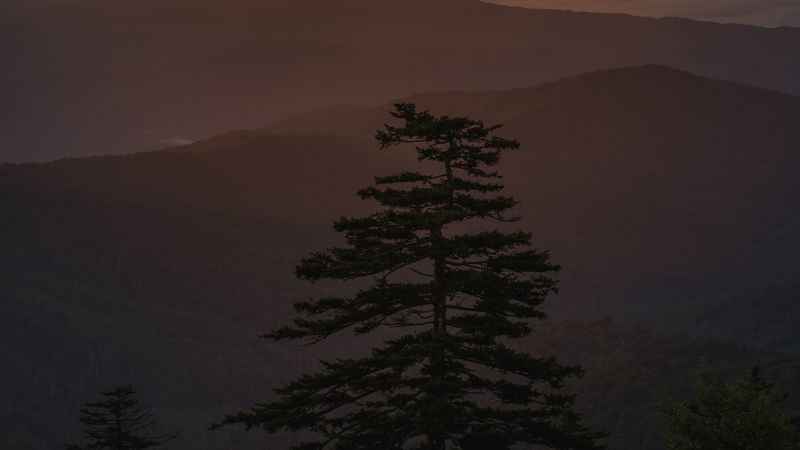 绝美落日山林雾景4K壁纸合集