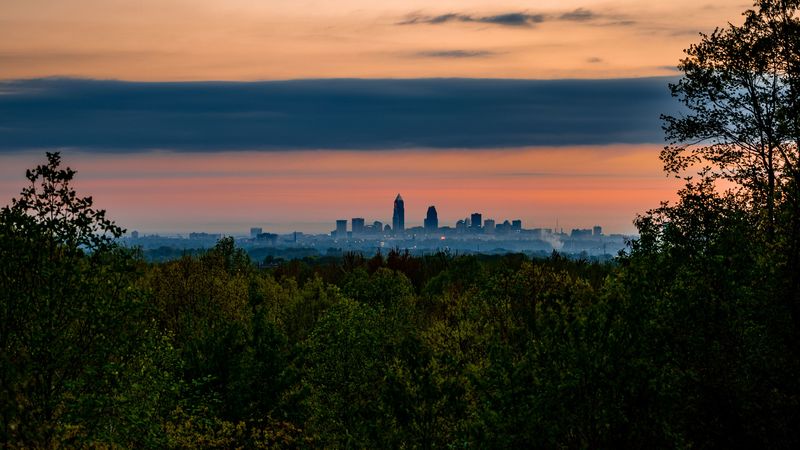 暮光下的城市树顶云海 4K高清壁纸