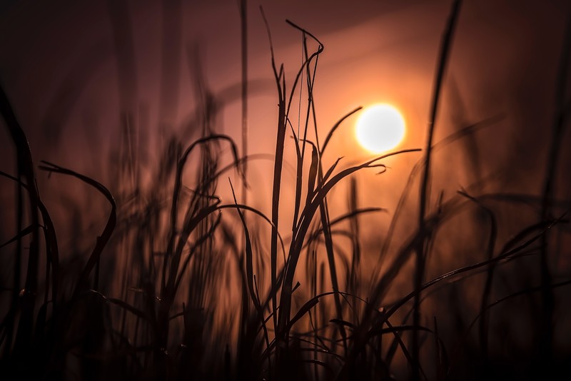 绝美日出田野壁纸合集