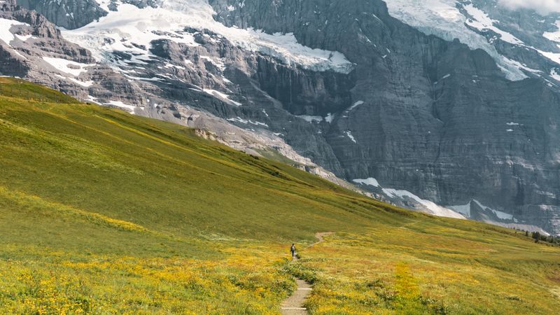 治愈系山野漫步4K壁纸合集
