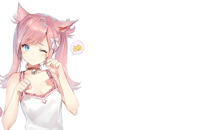多款猫耳娘动漫壁纸合集