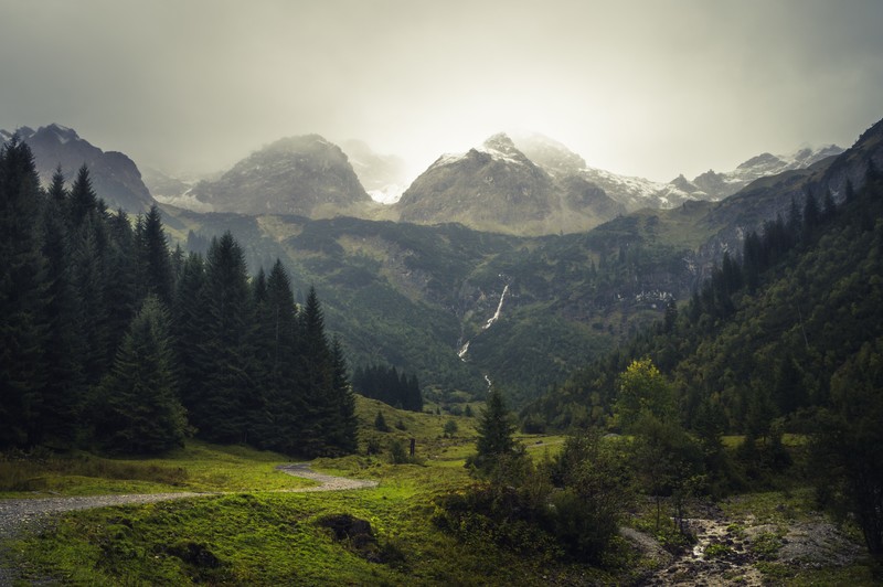 瑞士山野森林壁纸合集
