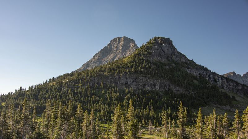4K高清壁纸分享：山野云杉林绝美晨昏风景