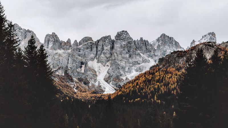 绝美金科塔雪山森林壁纸 4K高清质感拉满