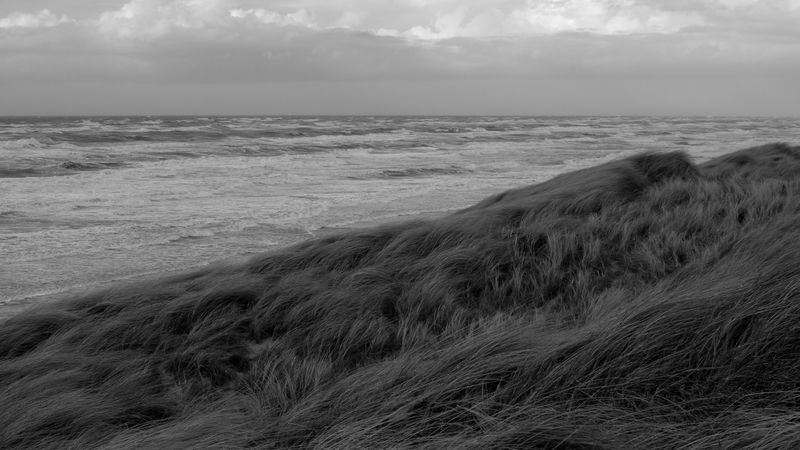 4K超清黑白壁纸！草原与海岸的绝美景象