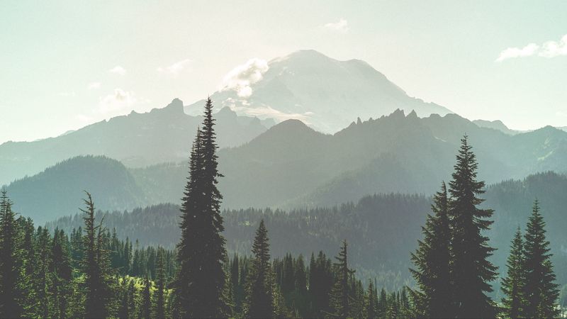 绝美雾中山林 4K超清壁纸合集