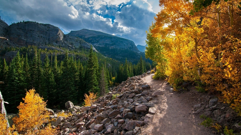 秋日山林小径绝美壁纸
