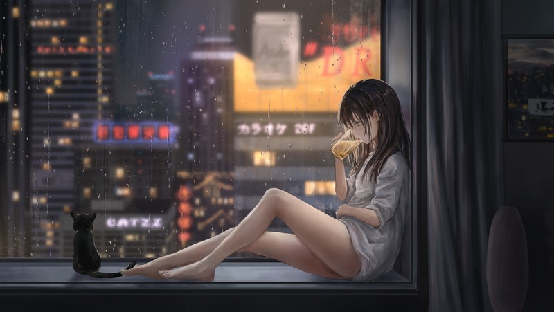 雨天窗边的动漫少女与猫咪壁纸合集