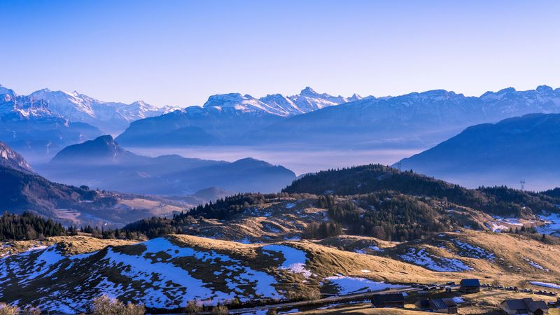 远眺雪山林景4K壁纸