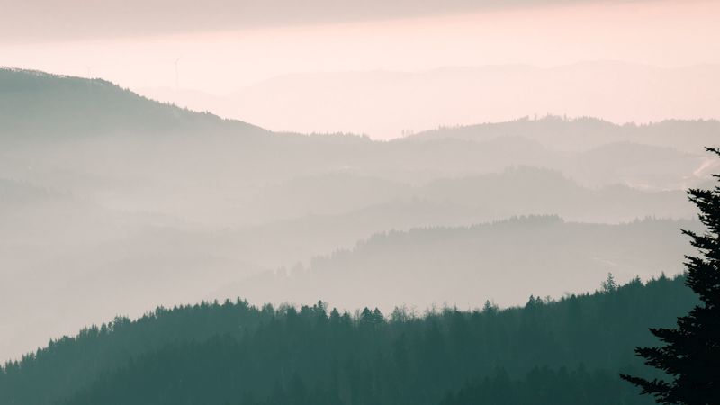 # 破晓时分山林雾景 4K超清壁纸