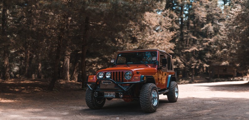 多款汽车森林视角高清壁纸