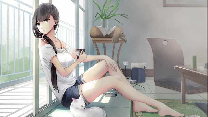 这组壁纸超绝！室内二次元少女美腿高清图合集