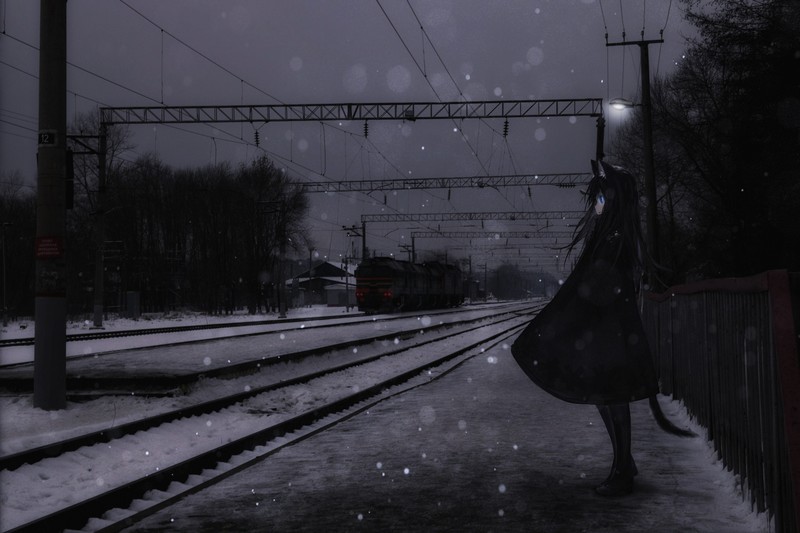 带兽耳兽尾的动漫少女高清壁纸合集