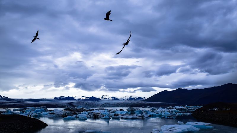 绝美冰川湖鸟景4K壁纸合集