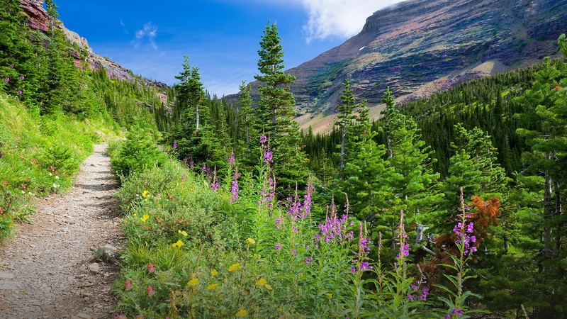 美国国家公园绝美自然风光壁纸合集