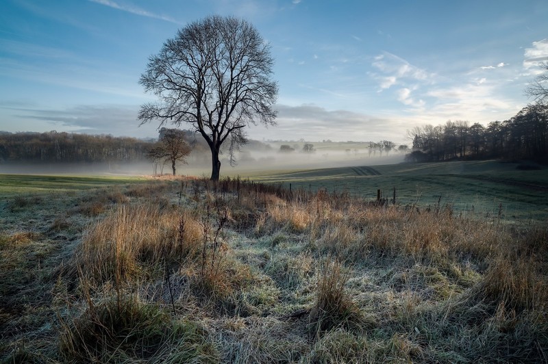 秋日植物自然壁纸合集