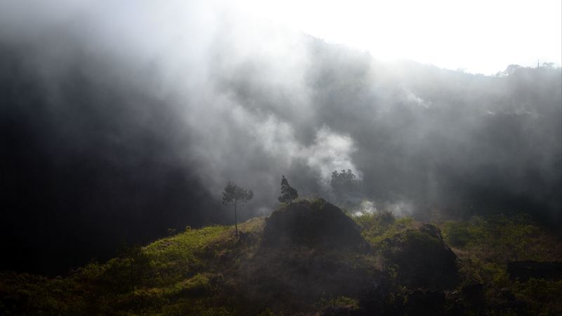 4K超清自然壁纸 山巅雾霭林景合集