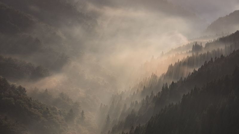 绝美山野晨雾曙光壁纸合集