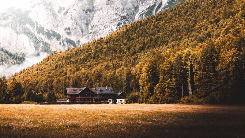 山林草坪小屋自然壁纸合集
