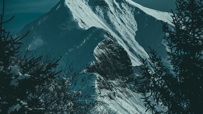 绝美雪山云杉坡4K壁纸合集