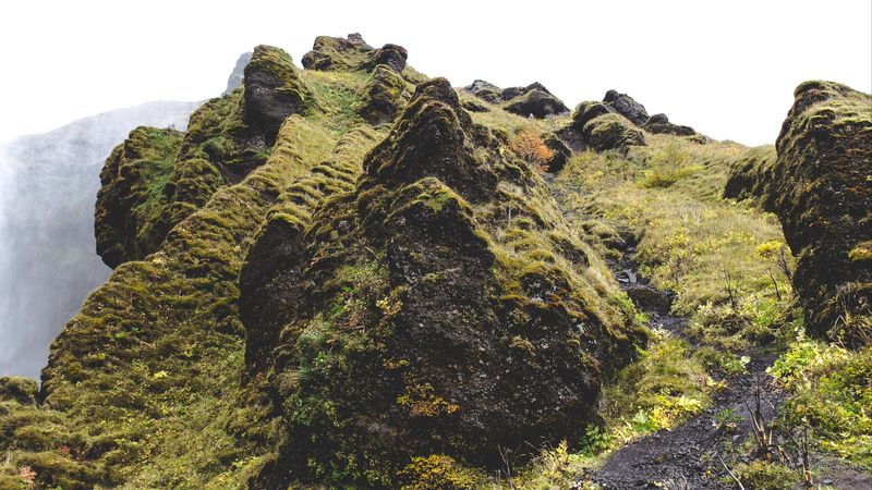 绝美山野壁纸合集 苔藓绿草岩石4K超清