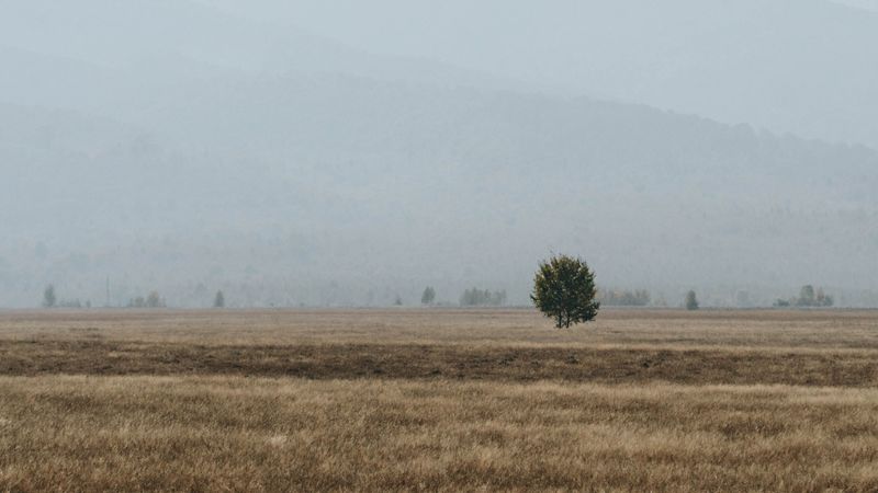 4K超清山野雾景壁纸合集