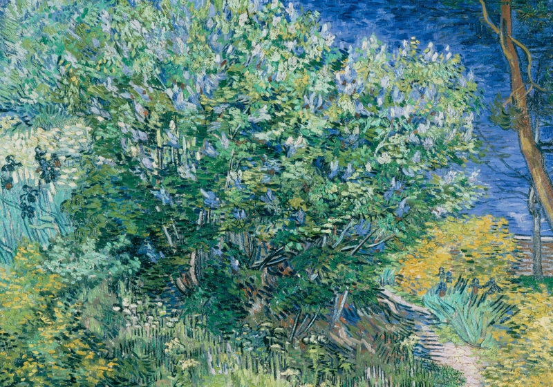 梵高笔下的丁香花丛风景画