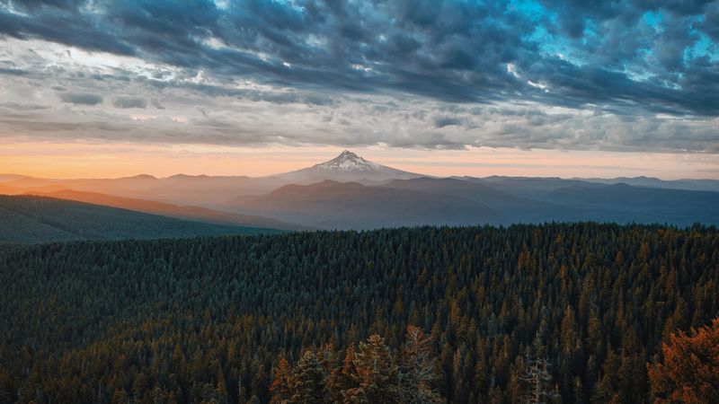 云雾山林绝美4K壁纸合集