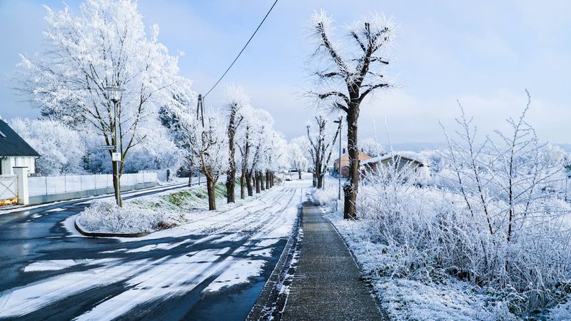 冬日城市街景雪景4K壁纸