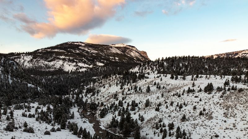 山野溪林4K高清壁纸