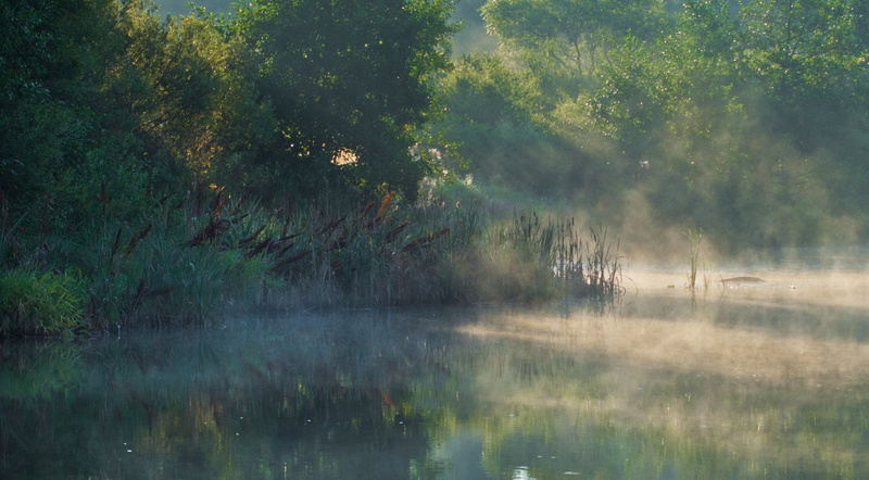 林间晨雾湖景壁纸合集