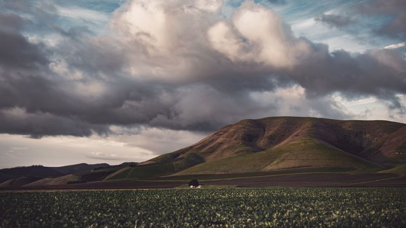 绝美丘陵田野壁纸合集 4K高清质感拉满