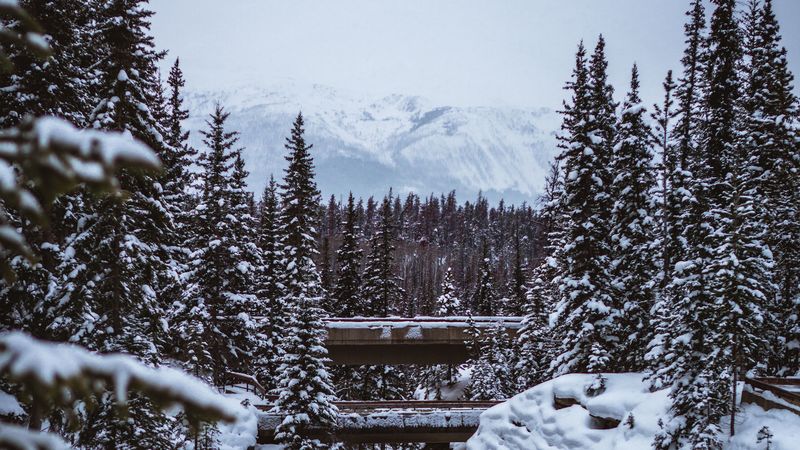 瑞士冬日山林雪景4K壁纸合集